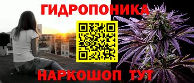 mdpv Шелехов