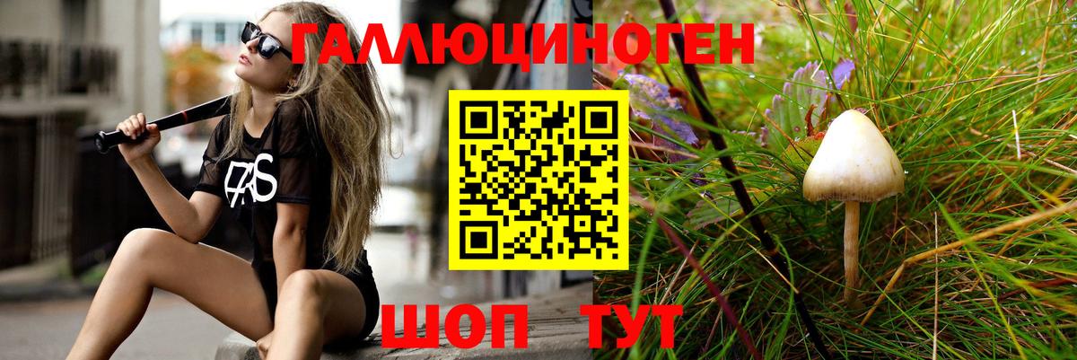 Галлюциногенные грибы Cubensis Можайск