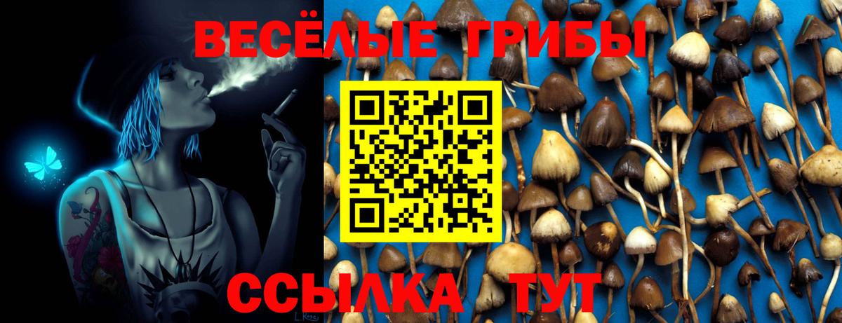 Можайск  Псилоцибиновые грибы MAGIC MUSHROOMS  Вход с VPN 